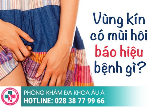 Điều gì gây ra hôi ngứa vùng kín?