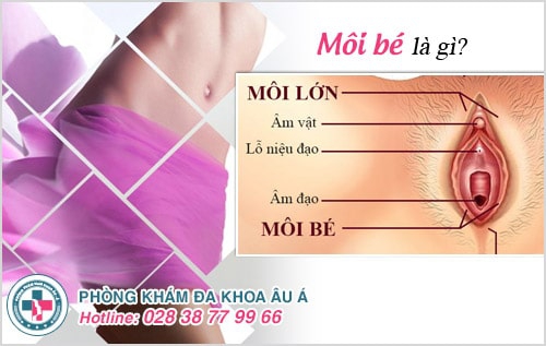 Tăng khoái cảm tình dục hơn khi thu gọn môi bé
