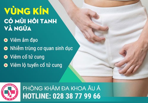 ÂM ĐẠO BỊ HÔI