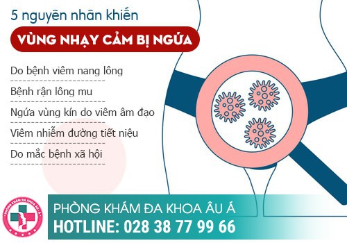 ĐIỀU TRỊ BỆNH NGỨA ÂM ĐẠO CẦN BÁM SÁT VÀO NGUYÊN NHÂN