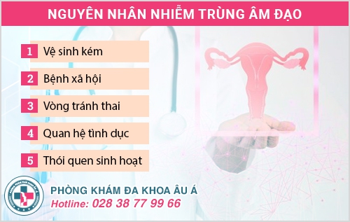 Vì sao vệ sinh cẩn thận mà vẫn bị nhiễm trùng âm đạo?
