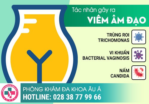 Nguyên nhân viêm nhiễm phụ khoa