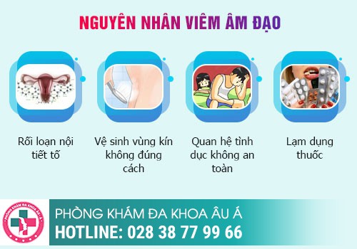 Nguyên nhân viêm vùng kín là gì?