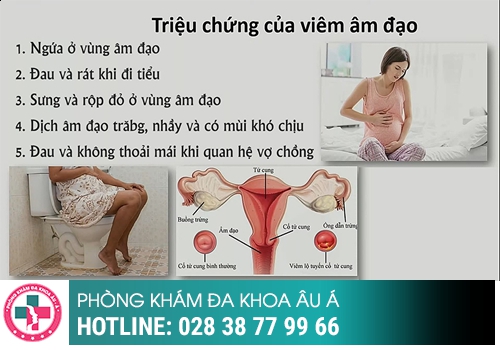 Dấu hiệu và triệu chứng viêm vùng kín