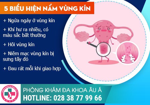 DẤU HIỆU NHẬN BIẾT BỆNH NẤM ÂM ĐẠO